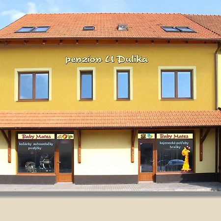Penzion U Dulika Veselí nad Moravou 外观 照片